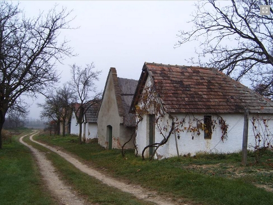 Bakonyság régi présházak